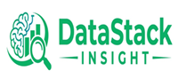 DataStack Insight